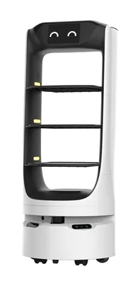 Umfangreiche Anwendungen der REEMAN-Lieferroboter in globalen Ländern