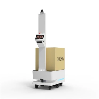 Giraffe Pro Lieferroboter,